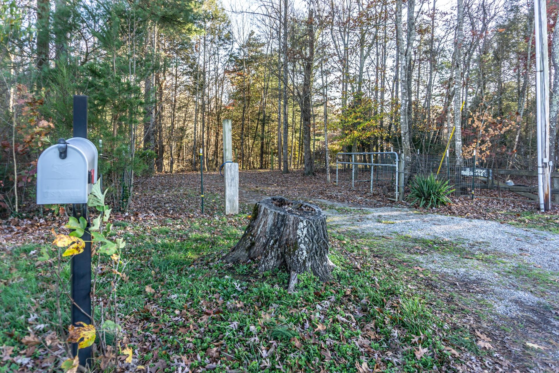 946 John Bird Road Afton, TN 37616 - Photo 56 of 80 946JohnBirdA_079