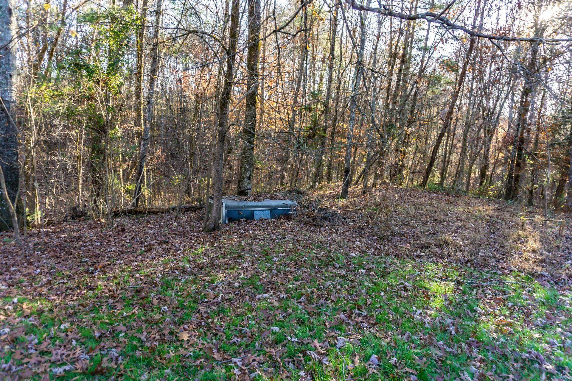 946 John Bird Road Afton, TN 37616 - Photo 58 of 80 946JohnBirdA_072