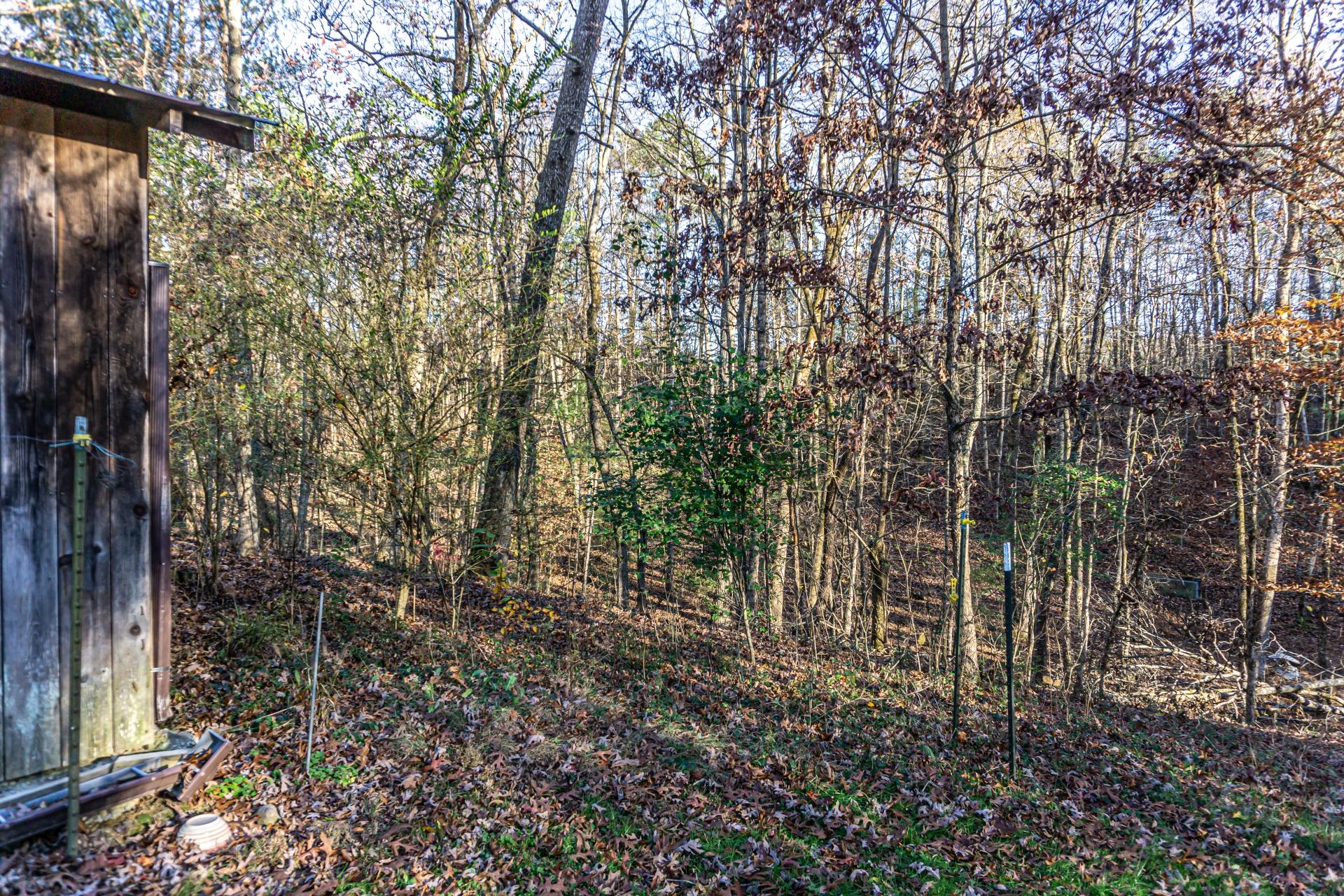 946 John Bird Road Afton, TN 37616 - Photo 60 of 80 946JohnBirdA_070