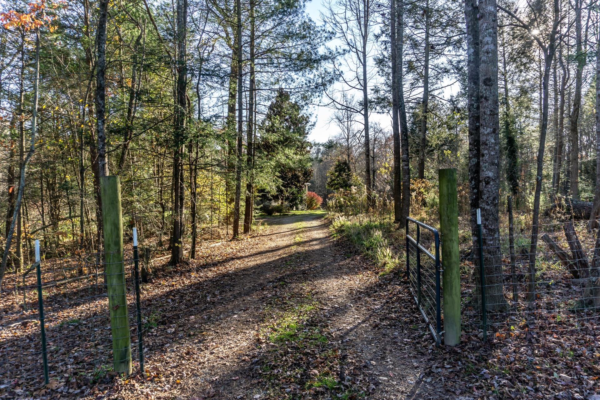 946 John Bird Road Afton, TN 37616 - Photo 64 of 80 946JohnBirdA_066