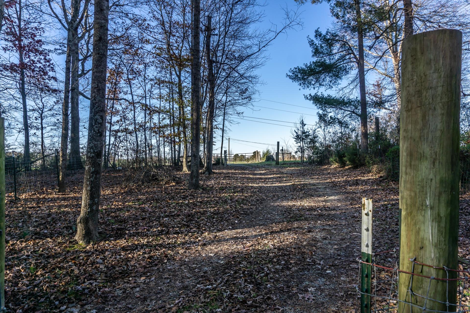 946 John Bird Road Afton, TN 37616 - Photo 65 of 80 946JohnBirdA_065