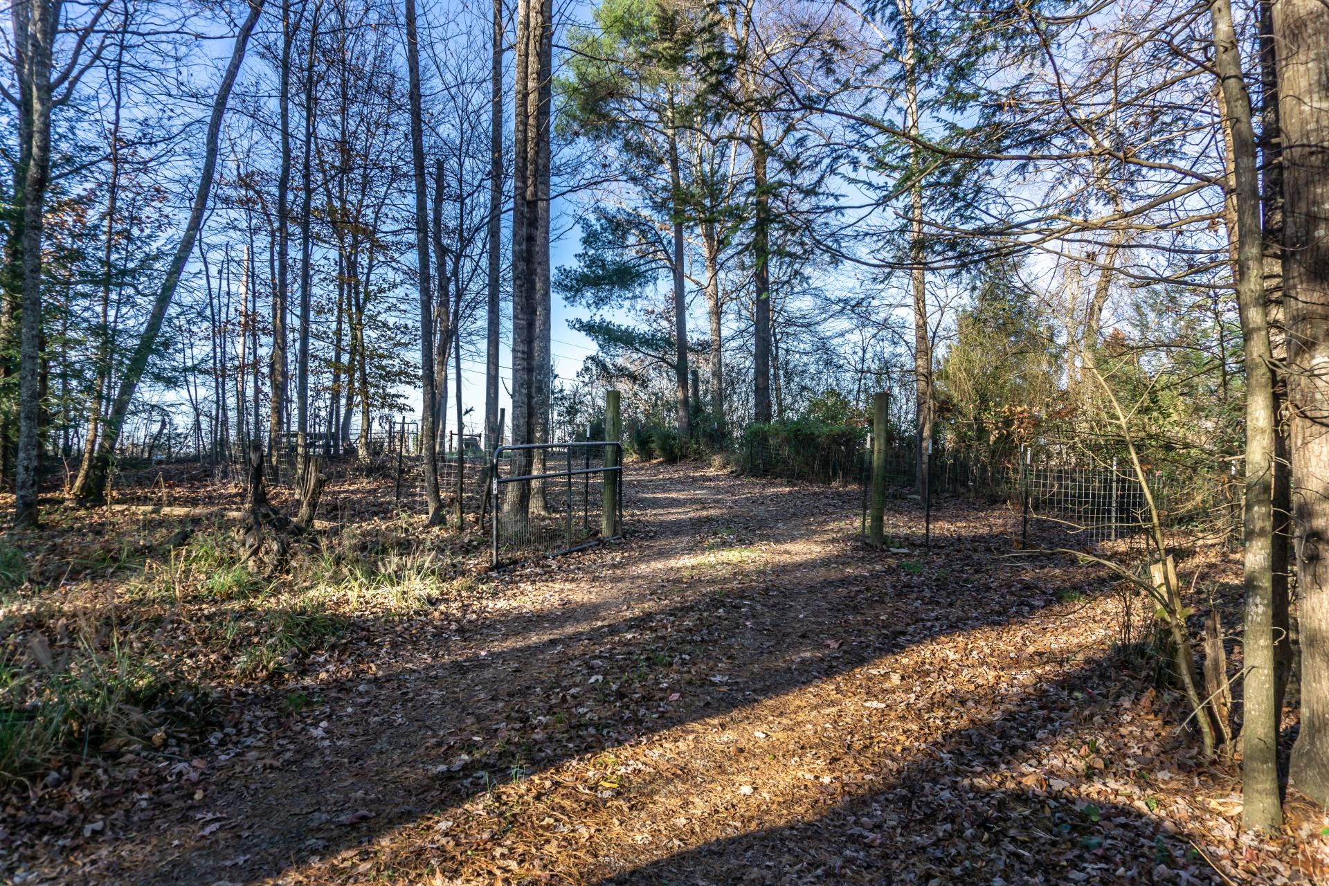 946 John Bird Road Afton, TN 37616 - Photo 66 of 80 946JohnBirdA_064