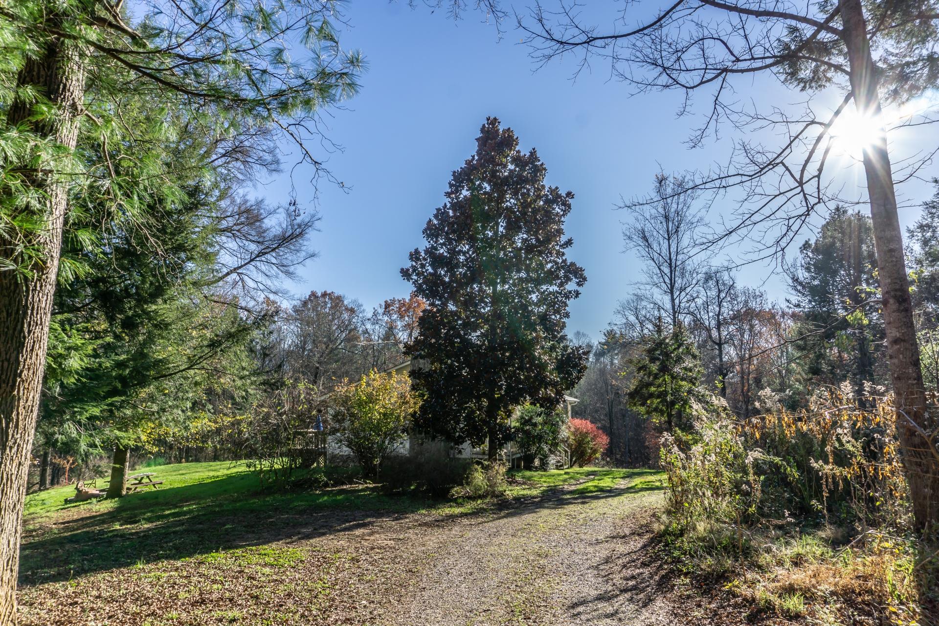 946 John Bird Road Afton, TN 37616 - Photo 70 of 80 946JohnBirdA_001