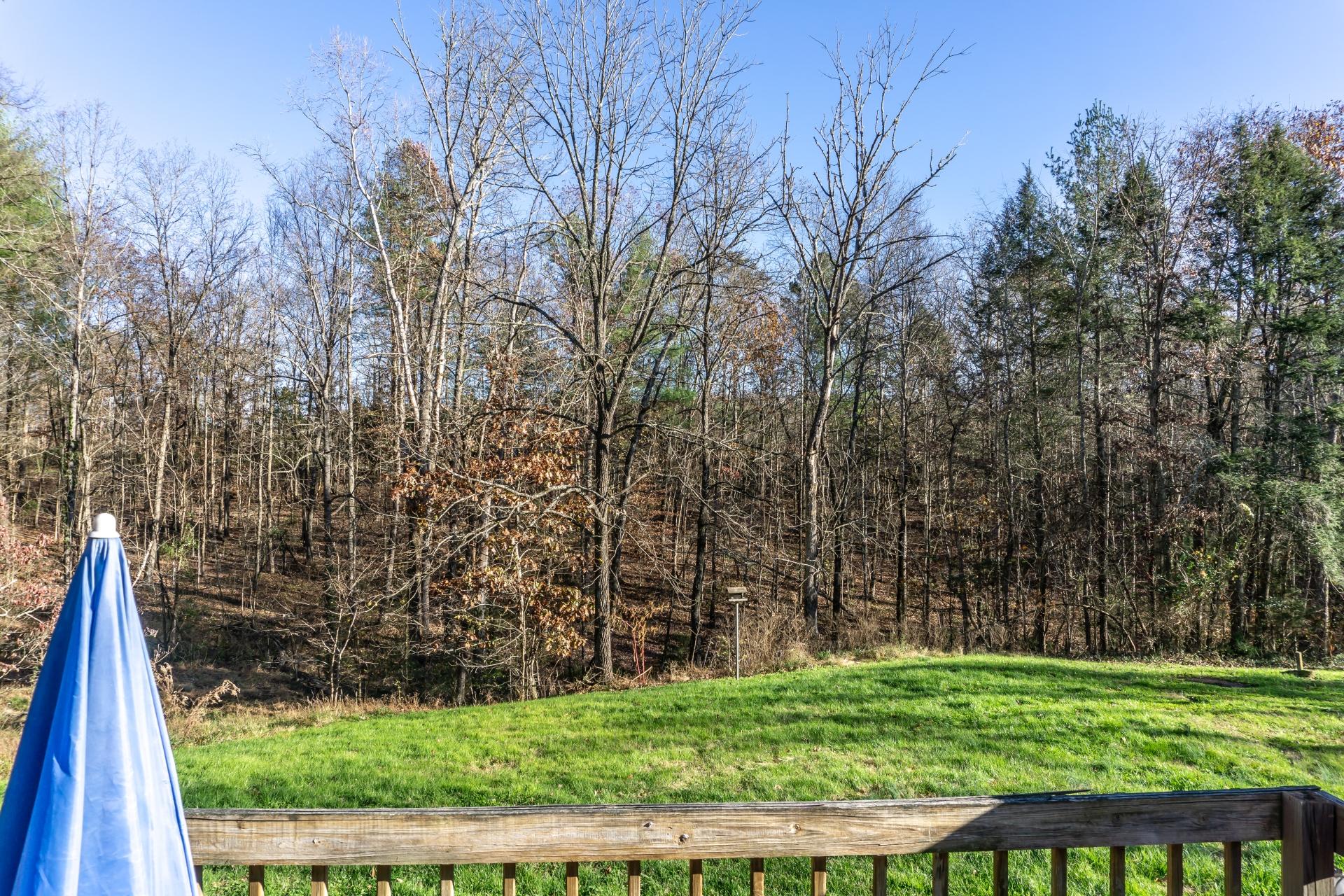 946 John Bird Road Afton, TN 37616 - Photo 75 of 80 946JohnBirdA_012