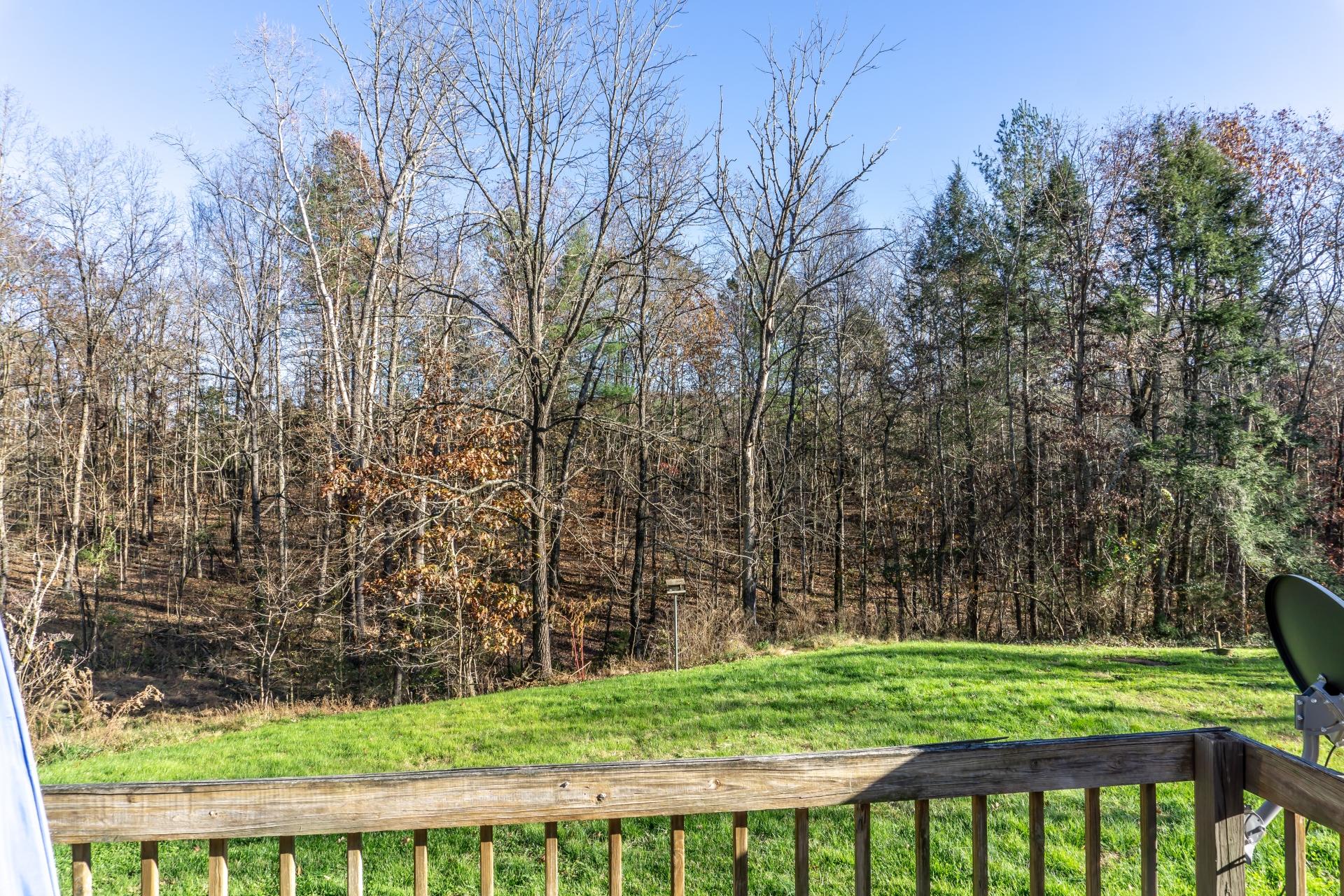 946 John Bird Road Afton, TN 37616 - Photo 76 of 80 946JohnBirdA_013