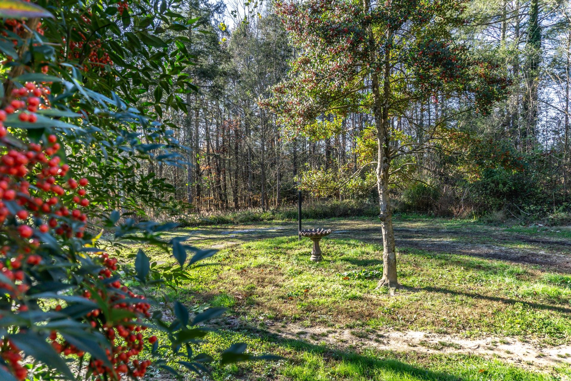 946 John Bird Road Afton, TN 37616 - Photo 78 of 80 946JohnBirdA_015