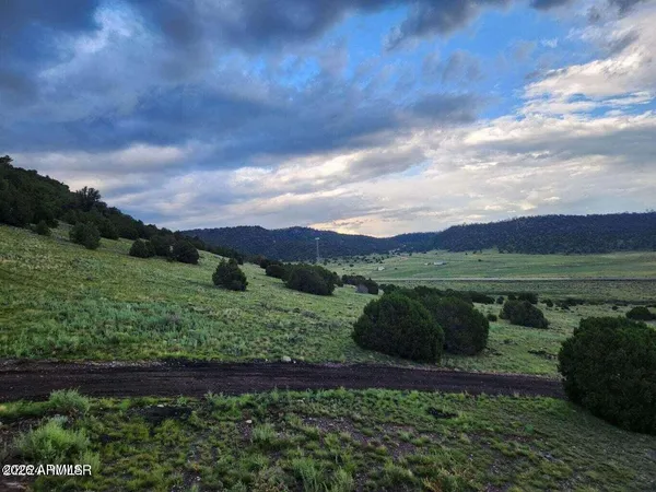 a view of outdoor space and city view