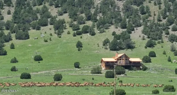 $999,999 | 41198 Us 180, Nutrioso, AZ 85932