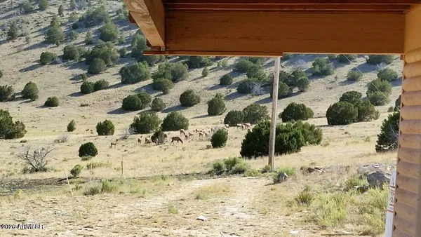 a view of a yard covered in snow