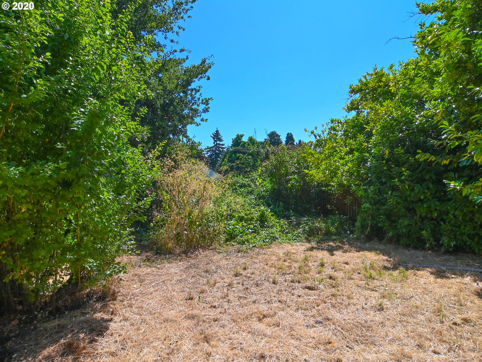 1215 River Road Eugene, OR 97404 - Photo 17 of 32 Gallery Image 17