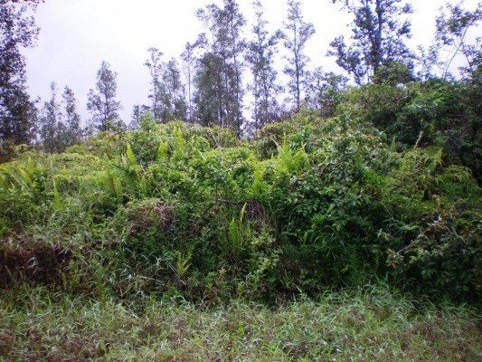 123 Pakalana Road Pahoa, HI 96778 - Photo 1 of 1 Gallery Image 1