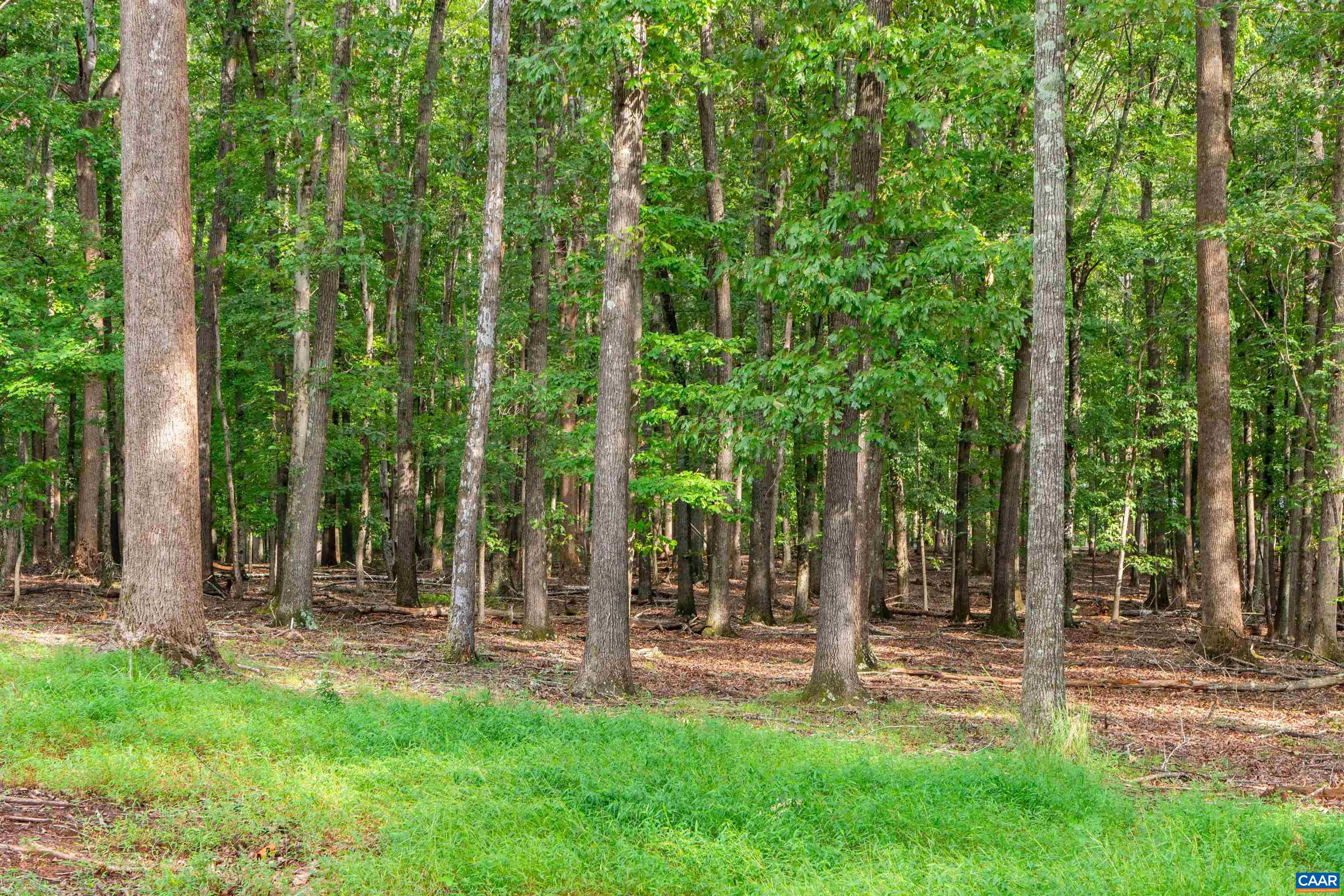 0 Dick Woods Road Charlottesville, VA 22903 - Photo 14 of 23 Gallery Image 14