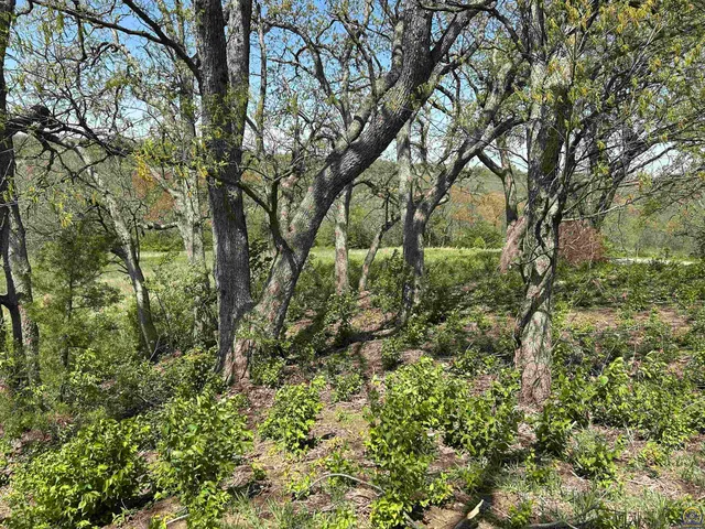 $300,000 | Lot 1 Highway 92, Ozawkie, KS 66070