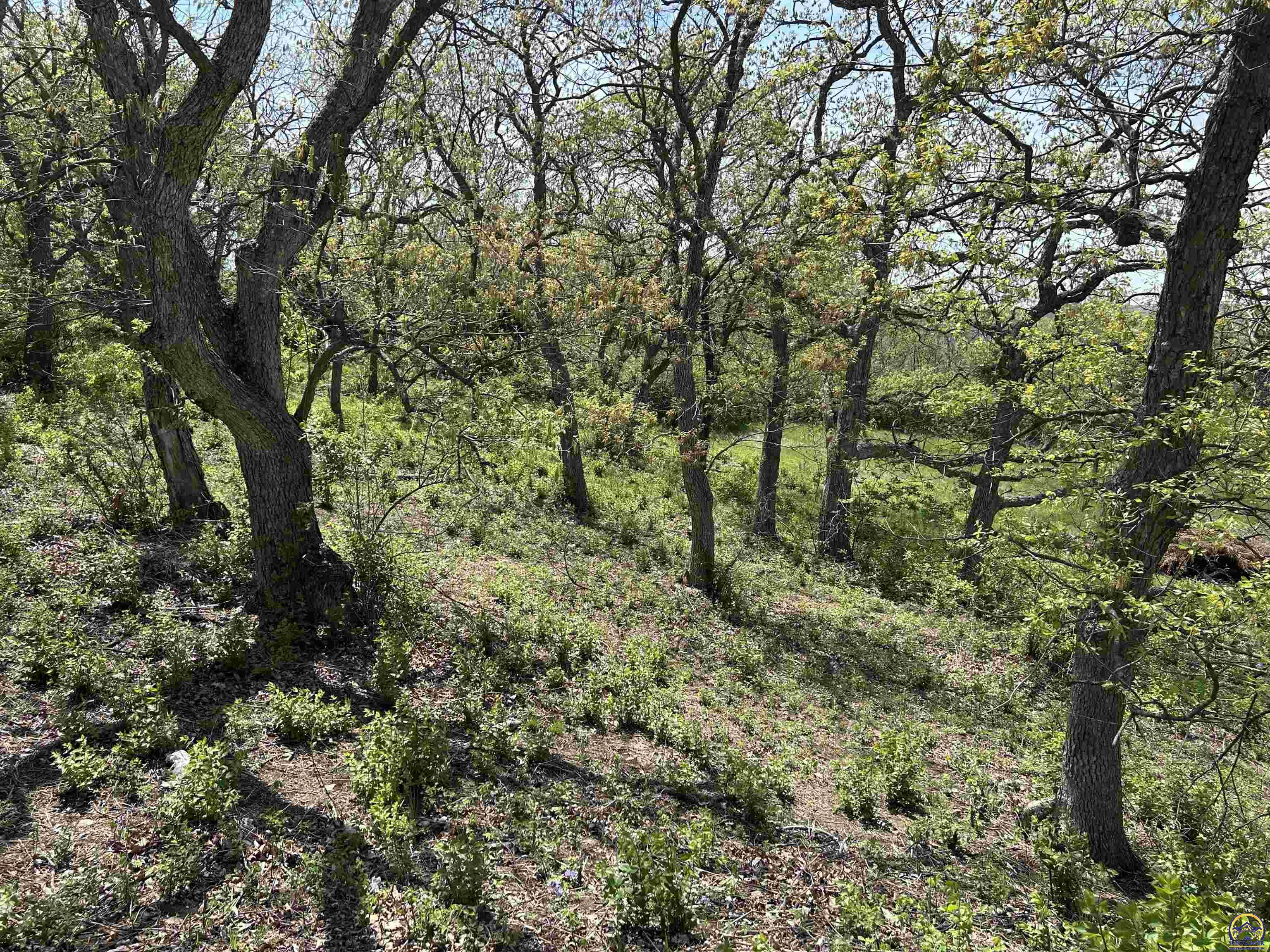 Lot 1 Highway 92 Ozawkie, KS 66070 - Photo 18 of 49