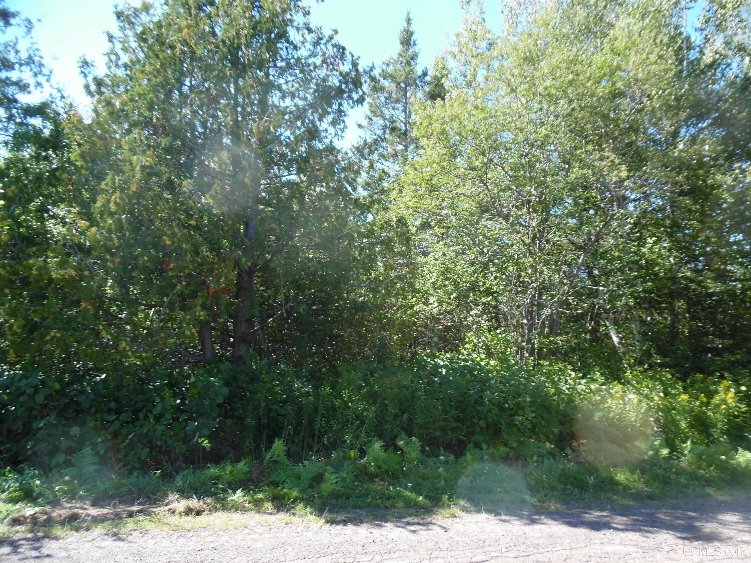 Tbd-00 Rauhala Road Atlantic Mine, MI 49905 - Photo 12 of 14 Gallery Image 12