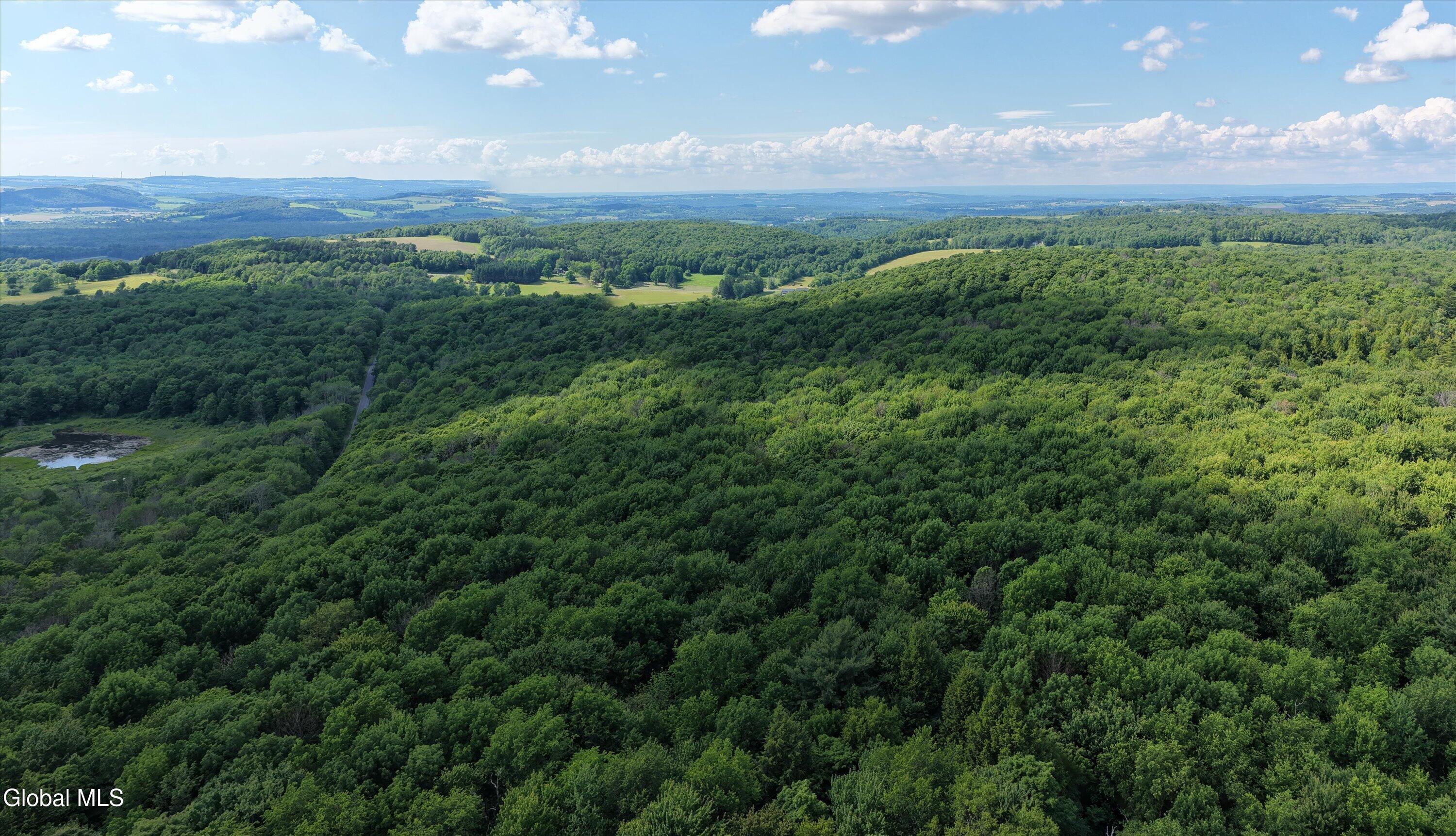 L27.5 L27.5 Gorton Lake Road Waterville, NY 13480 - Photo 1 of 15 01-Gorton Lake Rd-01