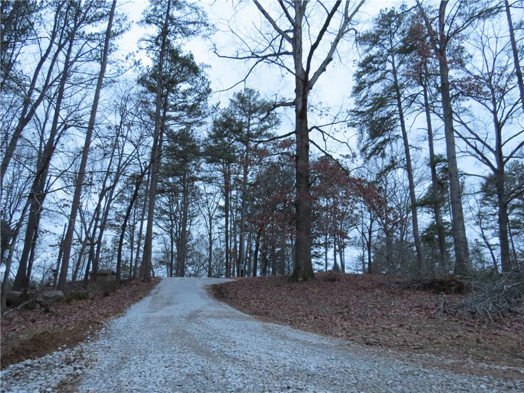 447 Fairview Road Ball Ground, GA 30107 - Photo 1 of 1 Gallery Image 1