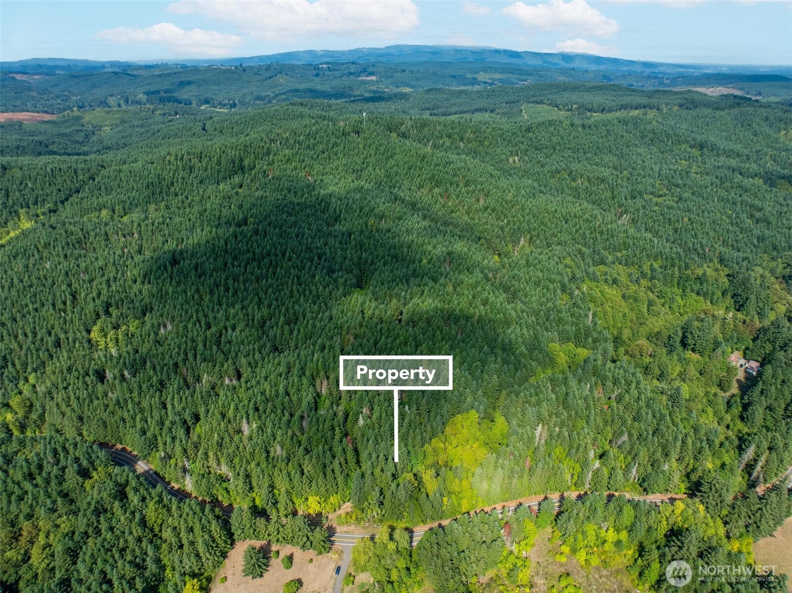 0 Lincoln Creek Road Rochester, WA 98579 - Photo 3 of 12 Gallery Image 3