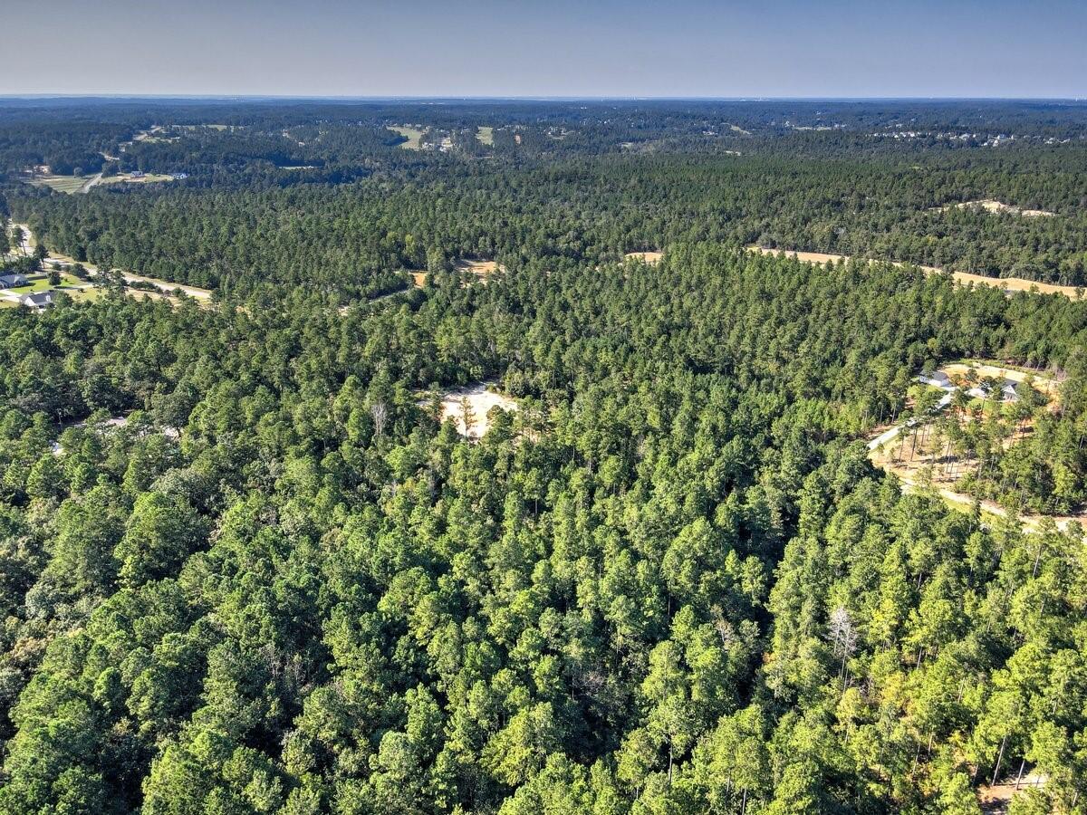 Lot 7 Anderson Pond Road Wagener, SC 29164 - Photo 6 of 7