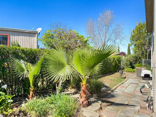 a view of a backyard of a house