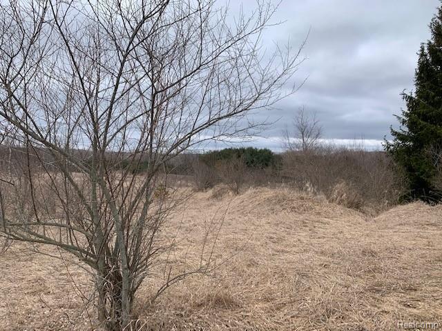 0 Pointer Road West Branch, MI 48661 - Photo 6 of 11