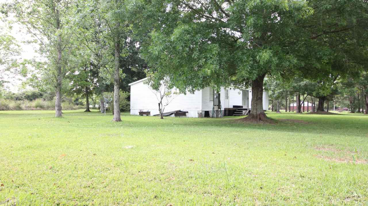 6545 County Road 19 Foley, AL 36535 - Photo 7 of 34