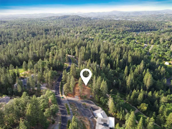 an aerial view of forest