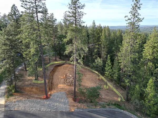 a view of a garden with a flower in a garden