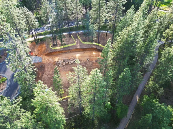 a view of a park with large trees