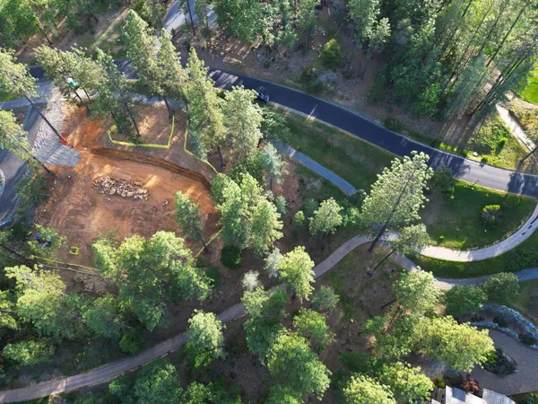 a view of a park with large trees