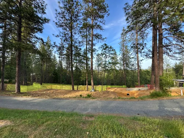 a view of a street with a park