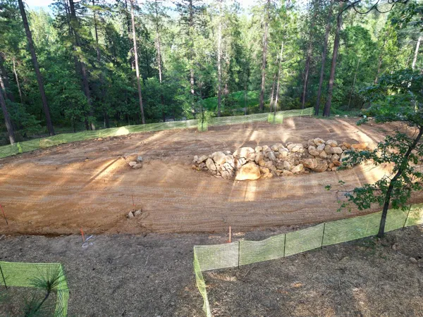 a view of a lush green forest with an outdoor seating