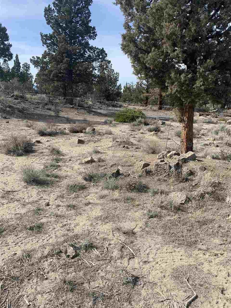 2 Ragan Drive Montague, CA 96064 - Photo 2 of 3 Gallery Image 2