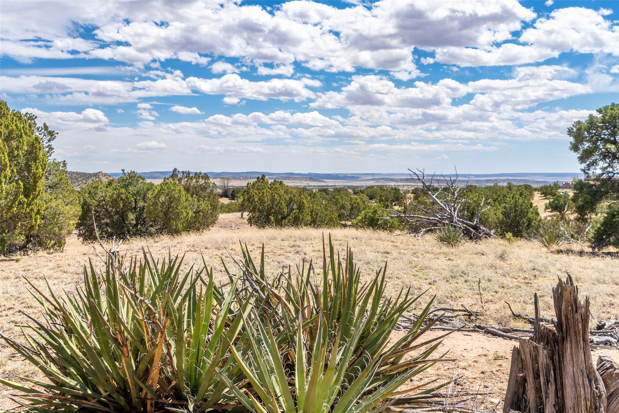 53 Cerro Alto Road Lamy, NM 87540 - Photo 12 of 20