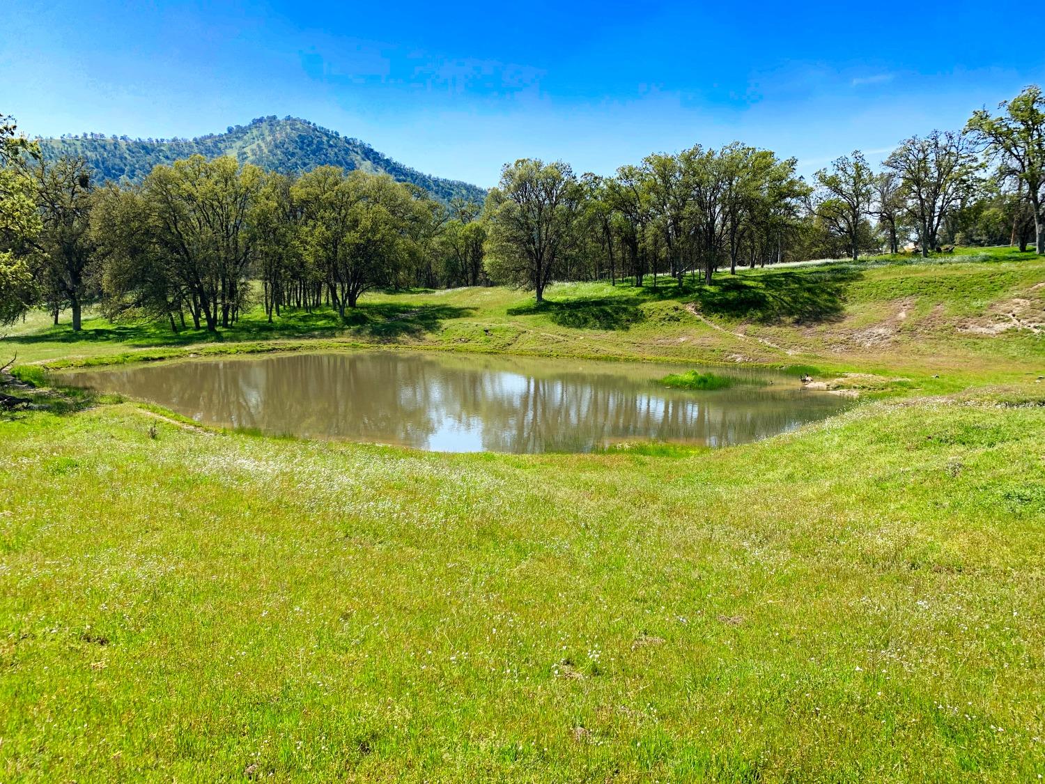 86 Dunlap Road Dunlap, CA 93621 - Photo 13 of 16