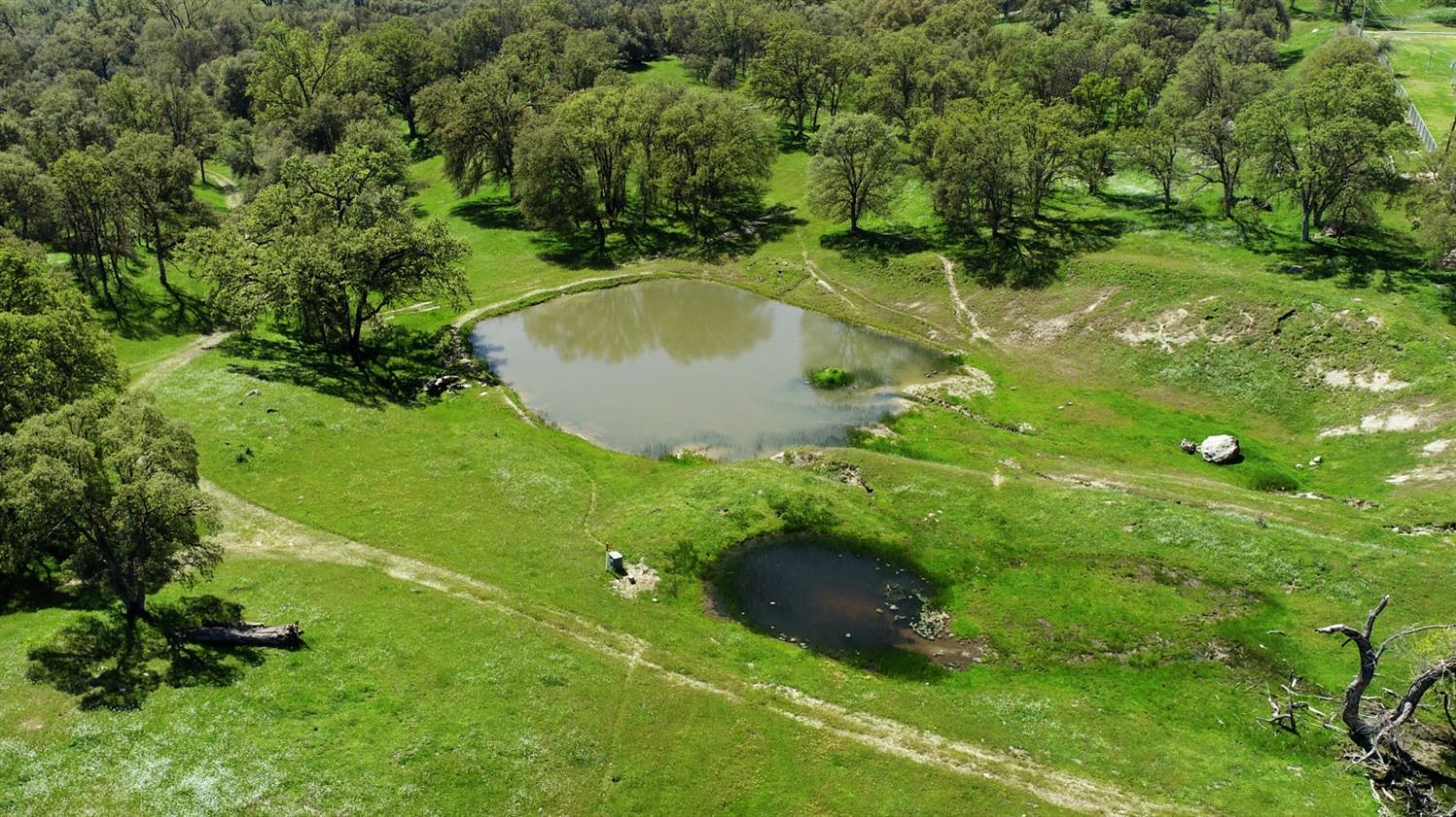 86 Dunlap Road Dunlap, CA 93621 - Photo 6 of 16