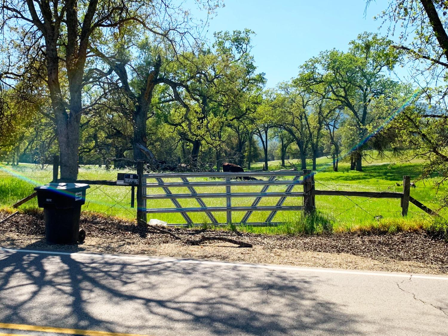 86 Dunlap Road Dunlap, CA 93621 - Photo 10 of 16