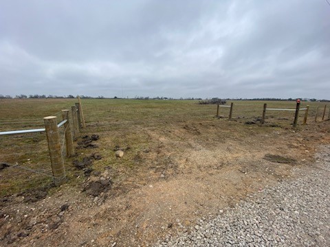 0 Duckhunter Drive Santa Fe, TX 77517 - Photo 13 of 14