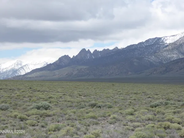 a view of backyard with outdoor space