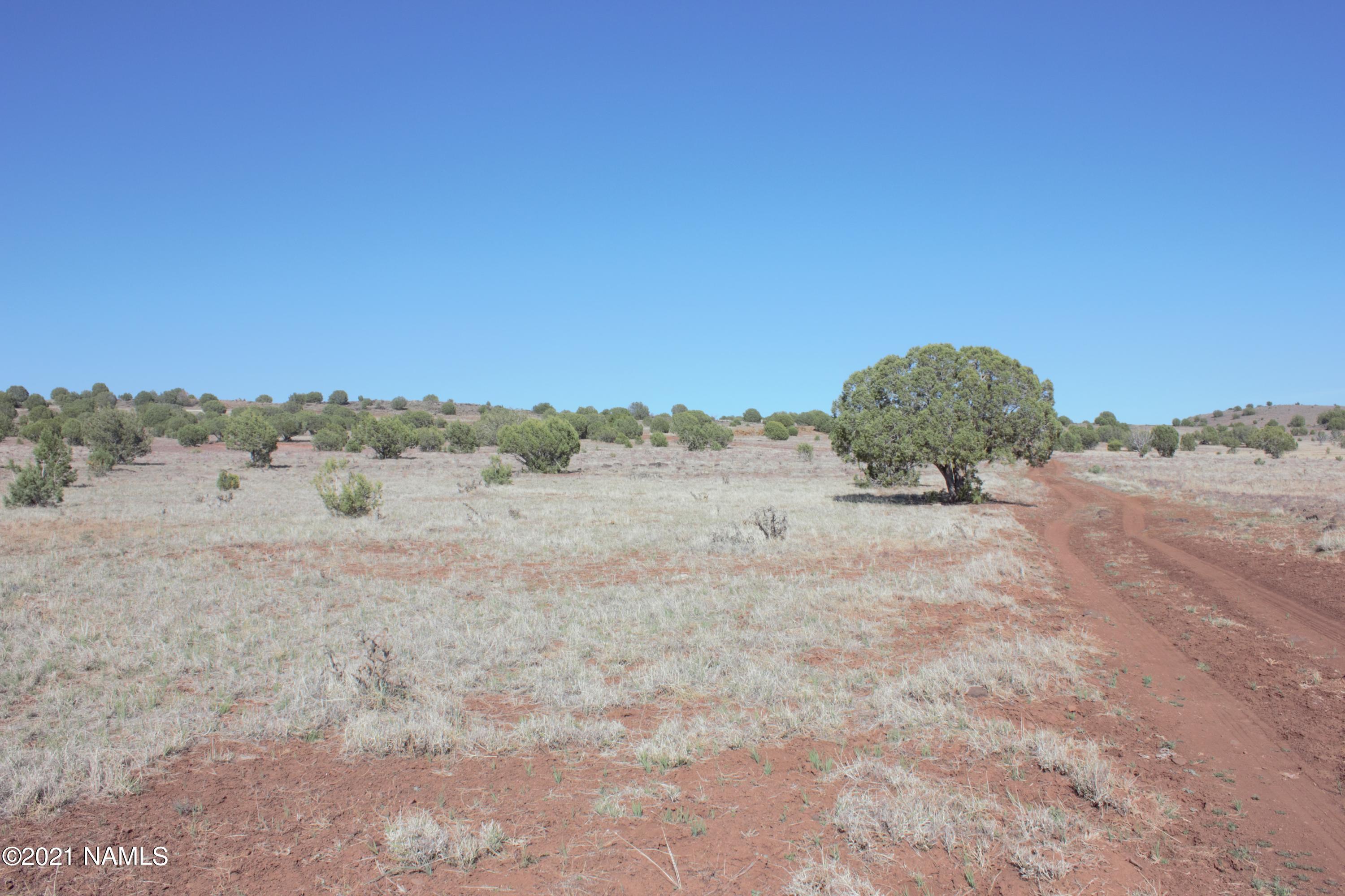 Graded Road to the top of the lot