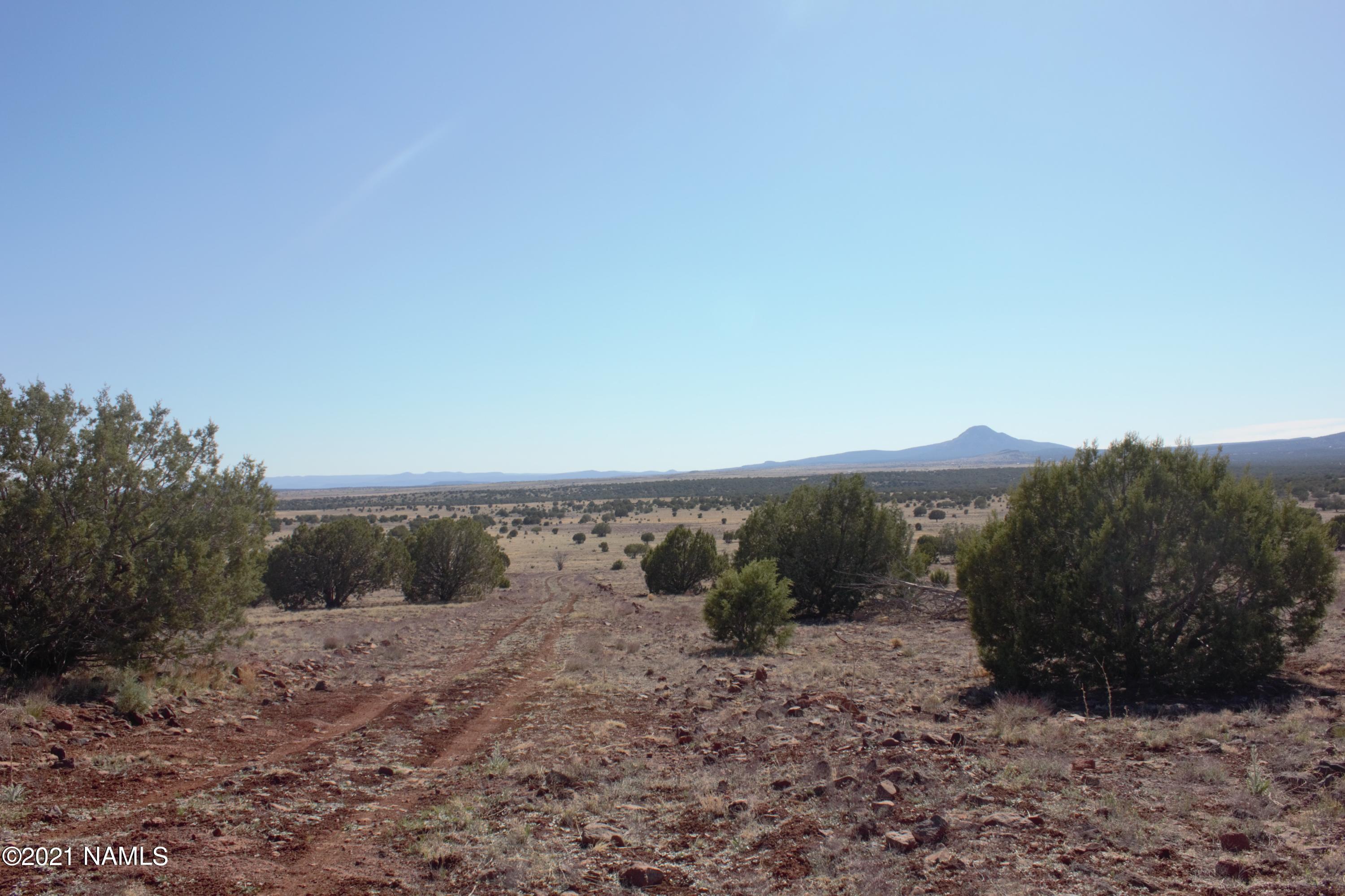 Road leading to top of lot.