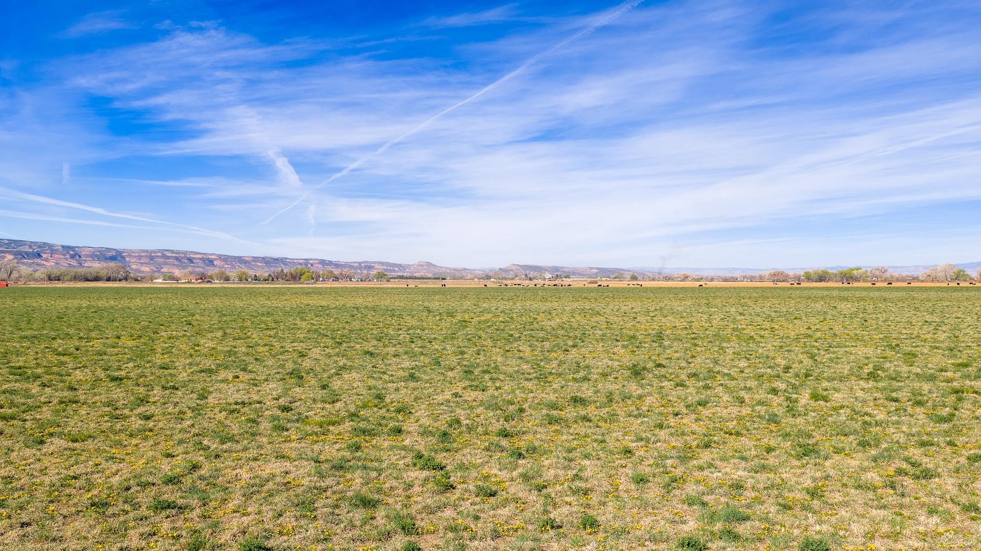Tbd 20 Road Fruita, CO 81521 - Photo 17 of 18 Gallery Image 17