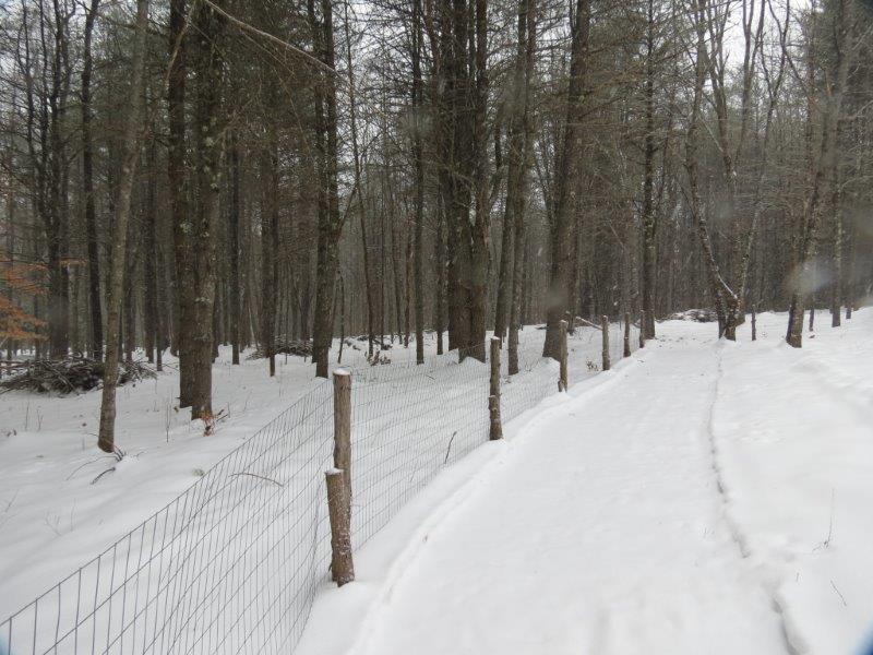 235 Dawes Hill Road Harrison, ME 04040 - Photo 34 of 35 Fenced in backyard