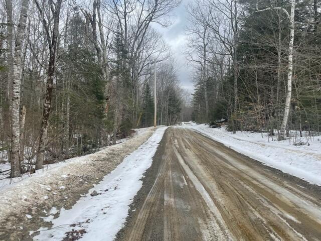 0 Bragdon Road Montville, ME 04941 - Photo 1 of 6 IMG_4561