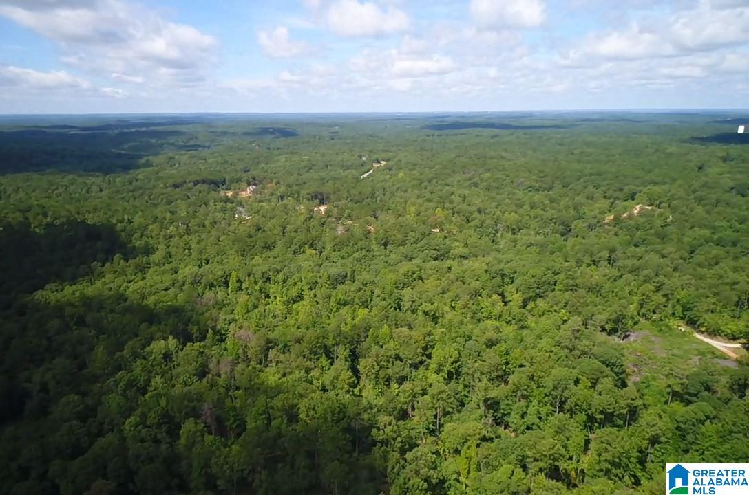 0 Brown Road Calera, AL 35040 - Photo 5 of 18