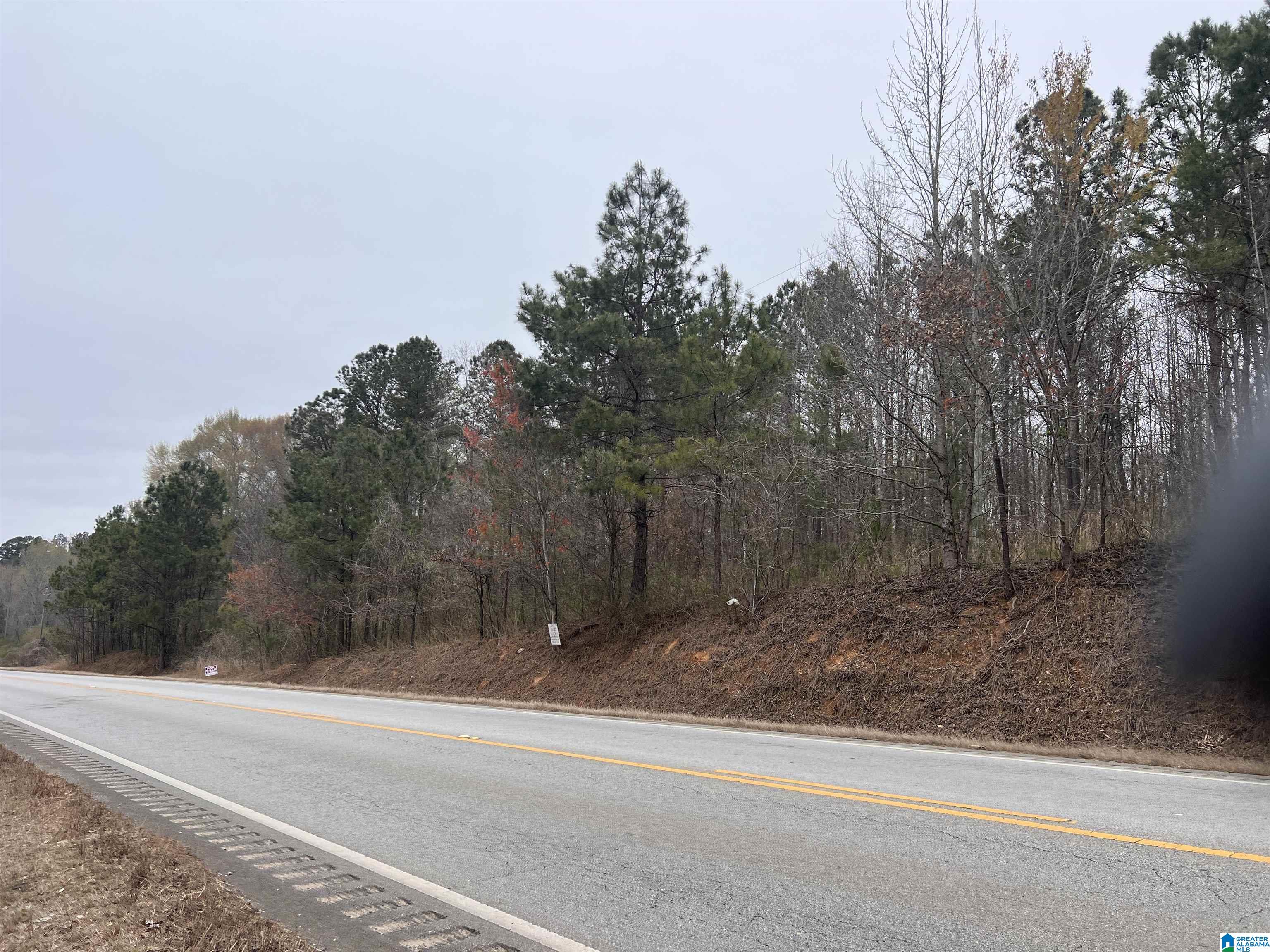 16188 Highway 46, Unit 33 ACRES Ranburne, AL 36273 - Photo 1 of 6