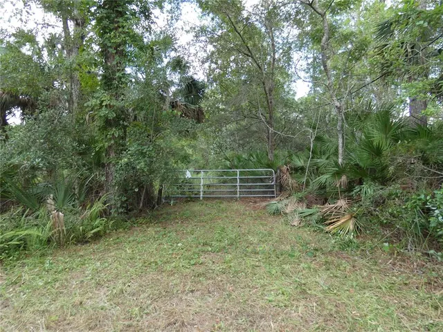 a view of backyard with trees