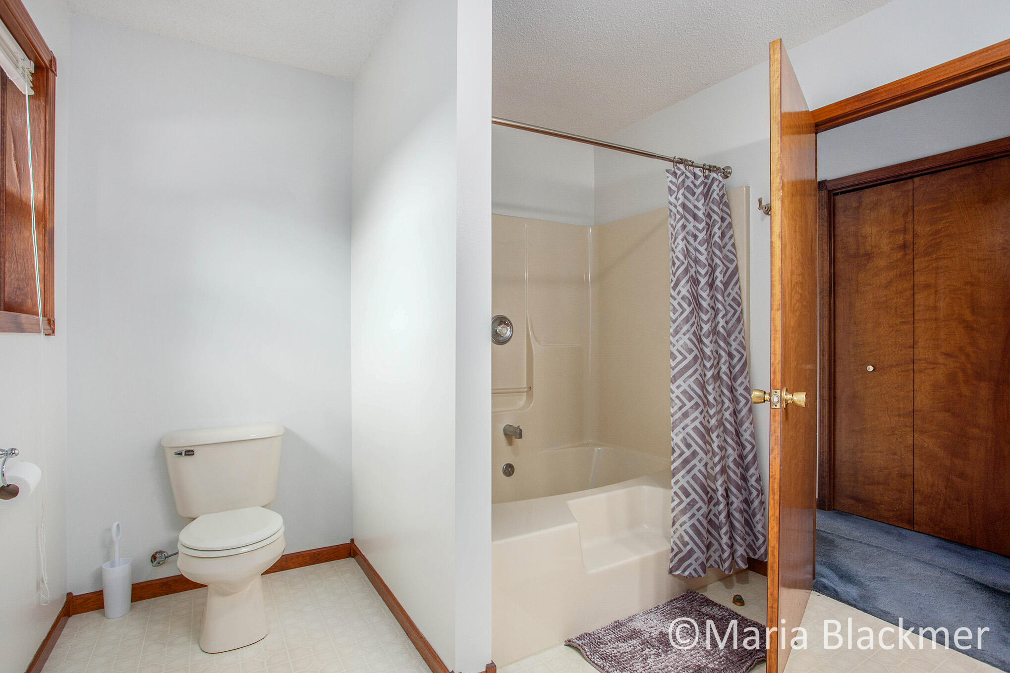 228 East Parmeter Road Ionia, MI 48846 - Photo 21 of 31 _MG_7919