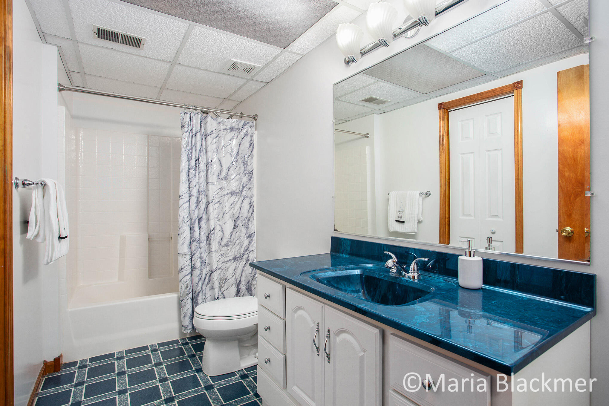 228 East Parmeter Road Ionia, MI 48846 - Photo 23 of 31 _MG_7932
