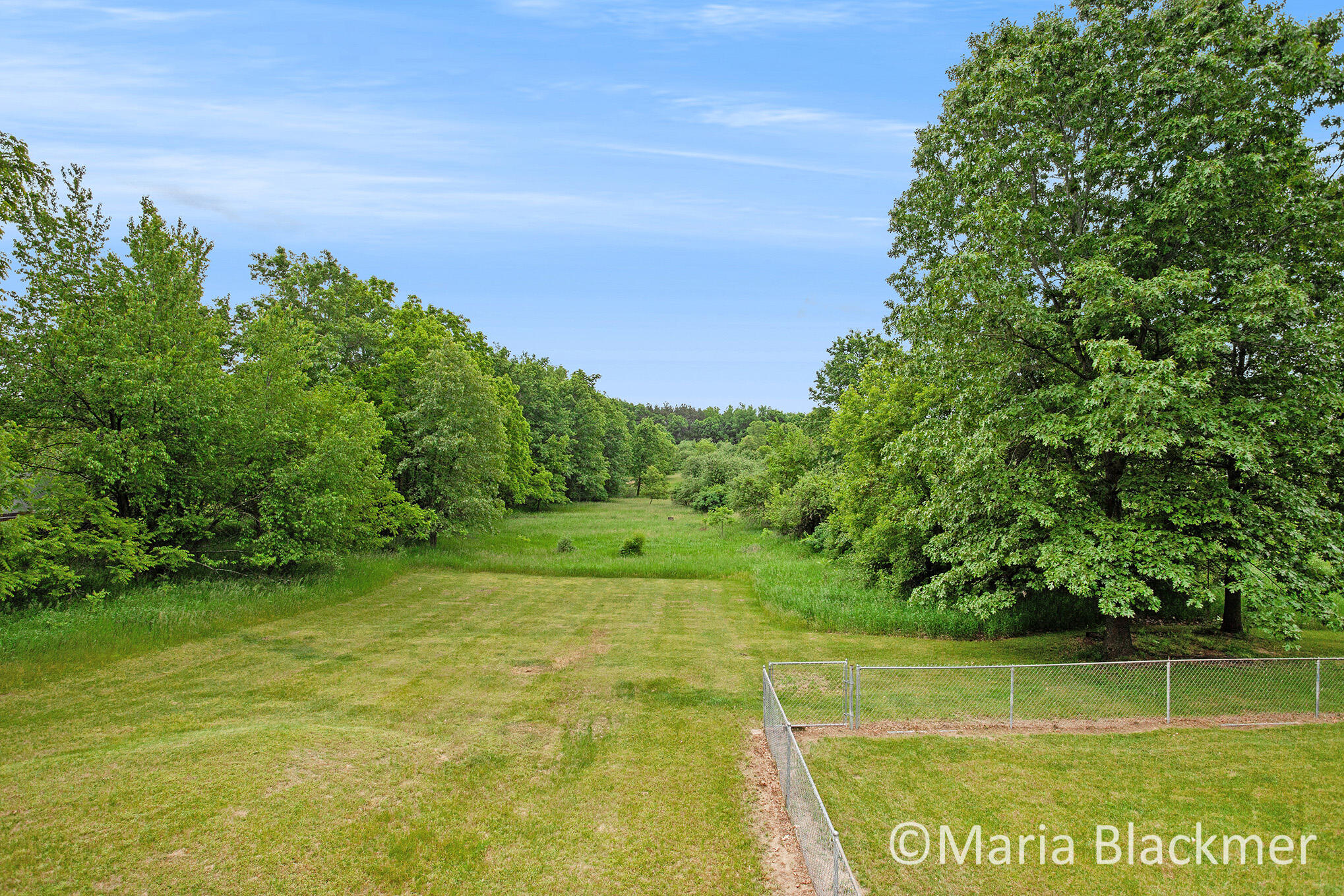 228 East Parmeter Road Ionia, MI 48846 - Photo 28 of 31 _MG_7952